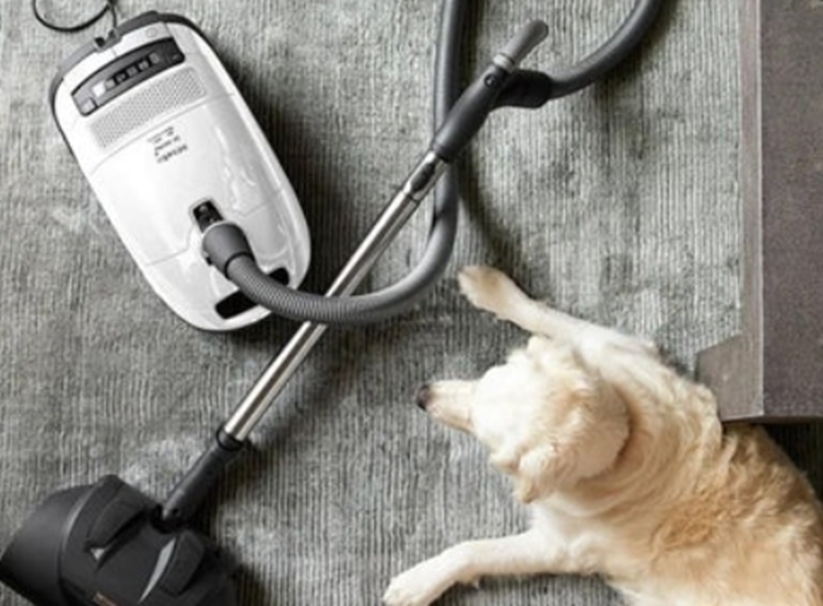 What Should You Do Before Throwing Away a Broken Vacuum?